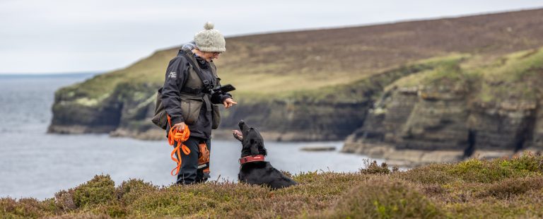 ONWP conservation Dogs